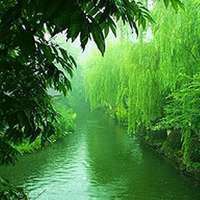 微信山水树林头像