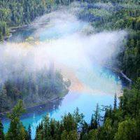 微信山水树林头像