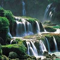 微信山水树林头像