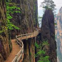 微信山水树林头像