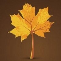 微信绿叶头像 护眼绿色植物清新头像