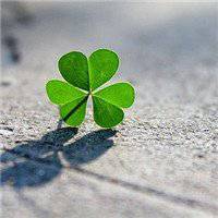 微信绿叶头像 护眼绿色植物清新头像