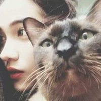 文艺女青年头像