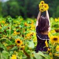 女生那一枝花头像_拿一枝花的可爱女生头像图片