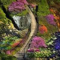 小桥流水头像_有意境的田园风格小桥流水人家头像