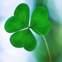 小清新植物头像唯美_清新自然绿色植物头像图片