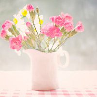 小清新植物头像唯美_清新自然绿色植物头像图片