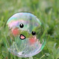 小清新植物头像唯美_清新自然绿色植物头像图片