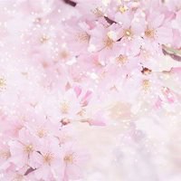 小清新植物头像唯美_清新自然绿色植物头像图片