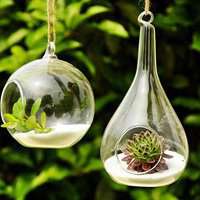 小清新植物头像唯美_清新自然绿色植物头像图片