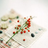 小清新植物头像唯美_清新自然绿色植物头像图片