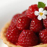 小清新植物头像唯美_清新自然绿色植物头像图片