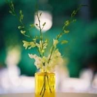 小花头像唯美图片大全_简约清新小花朵头像图片