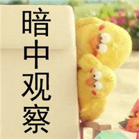 小鹦鹉头像