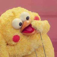 小黄鹦鹉头像_恶搞小黄鹦鹉表情头像