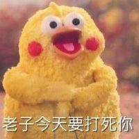 小黄鹦鹉头像_恶搞小黄鹦鹉表情头像