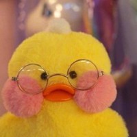 小黄鹦鹉头像_恶搞小黄鹦鹉表情头像