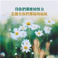 带字花草头像图片大全_花草植物带字的头像