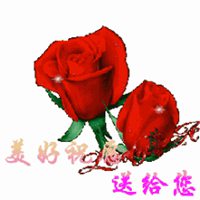 微信小花朵表情_小花朵可爱搞笑表情头像