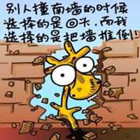 我负责貌美如花头像_你负责赚钱养家我负责貌美如花头像图片