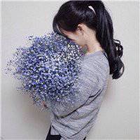 手绘女生拿花遮脸头像_彩铅用花遮脸可爱女生头像