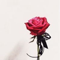 最好看的微信花束头像_包裹花束唯美清新头像大图