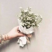 最好看的微信花束头像_包裹花束唯美清新头像大图