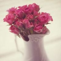 最好看的微信花束头像_包裹花束唯美清新头像大图