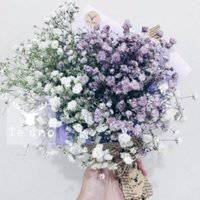 最好看的微信花束头像_包裹花束唯美清新头像大图