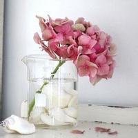 最好看的微信花束头像_包裹花束唯美清新头像大图