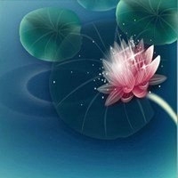 最好看的荷花头像_唯美好看绿色红色荷花头像图片