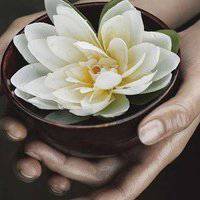 最好看的荷花头像_唯美好看绿色红色荷花头像图片