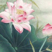 最好看的荷花头像_唯美好看绿色红色荷花头像图片