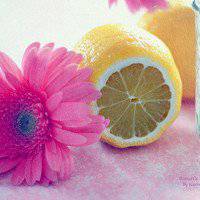 柠檬头像女生动漫图片_可爱柠檬女生头像大图