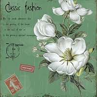 栀子花头像图片唯美_清新洁白栀子花头像图片