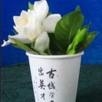 栀子花头像图片唯美_清新洁白栀子花头像图片