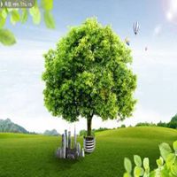 树木头像图片大全_绿色植物树木头像图片大图