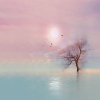 树木头像图片大全_绿色植物树木头像图片大图