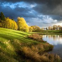 树木头像图片大全_绿色植物树木头像图片大图