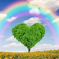 树木头像图片大全_绿色植物树木头像图片大图