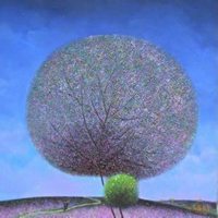 树木头像图片大全_绿色植物树木头像图片大图