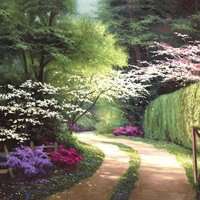 梦幻仙境头像_动漫唯美宛如仙境头像图片