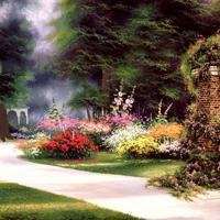 梦幻森林头像_动漫唯美森林头像图片