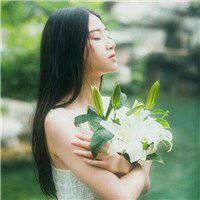 梦幻森林头像_动漫唯美森林头像图片