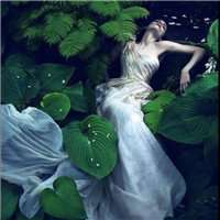 梦幻森林头像_动漫唯美森林头像图片