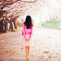 梦幻樱花头像女生_动漫浪漫樱花少女头像图片