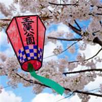 梦幻樱花头像女生_动漫浪漫樱花少女头像图片