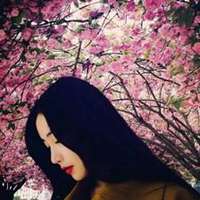 梦幻樱花头像女生_动漫浪漫樱花少女头像图片