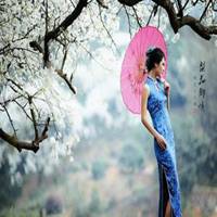 梨花下的美女头像_梨树下的可爱美女头像