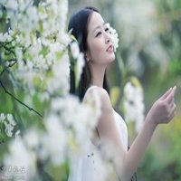梨花下的美女头像_梨树下的可爱美女头像
